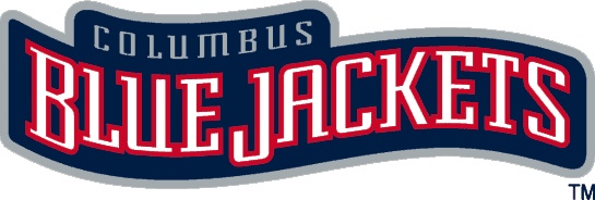 Columbus Blue Jackets 2000-2007 Wordmark Logo fabric transfer